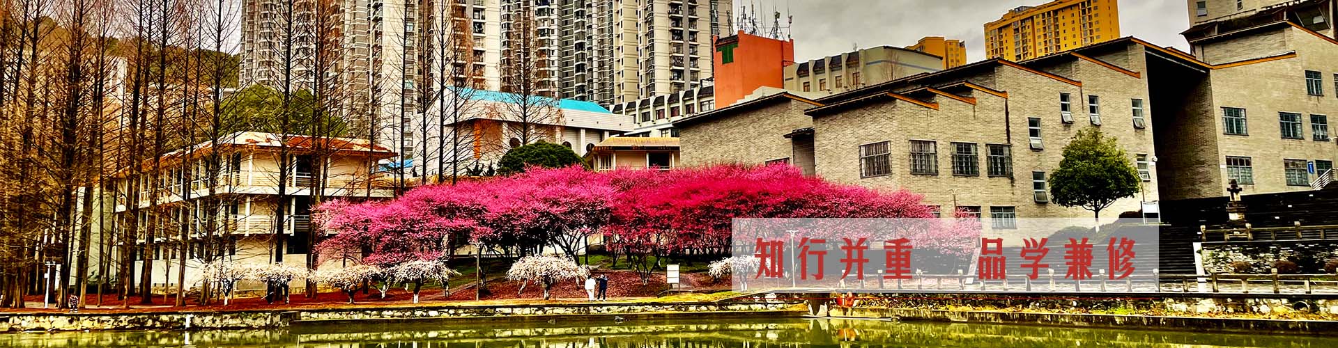 威廉希尔中文官网