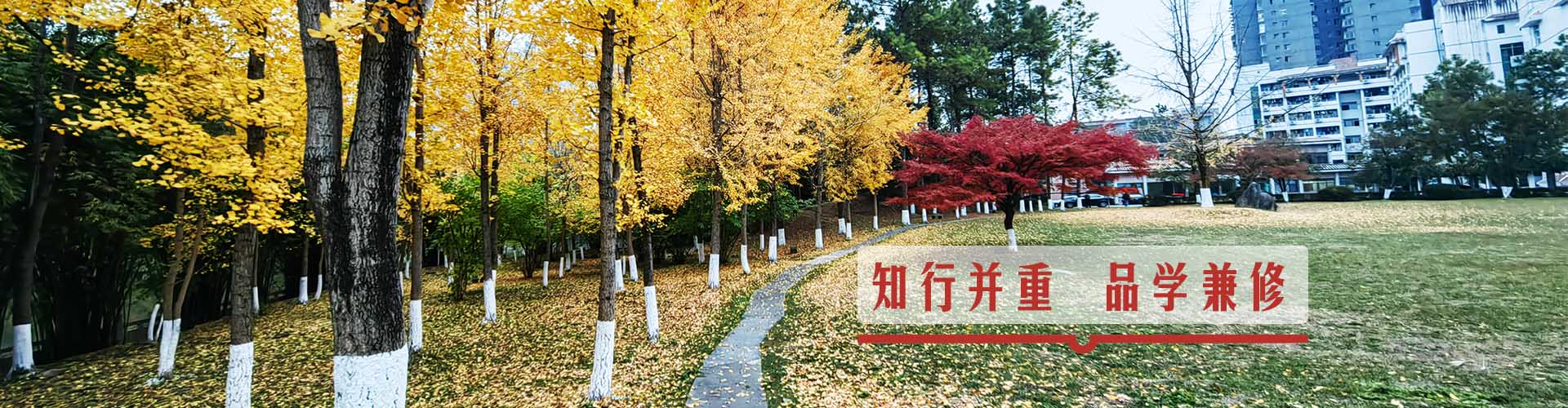 威廉希尔中文官网